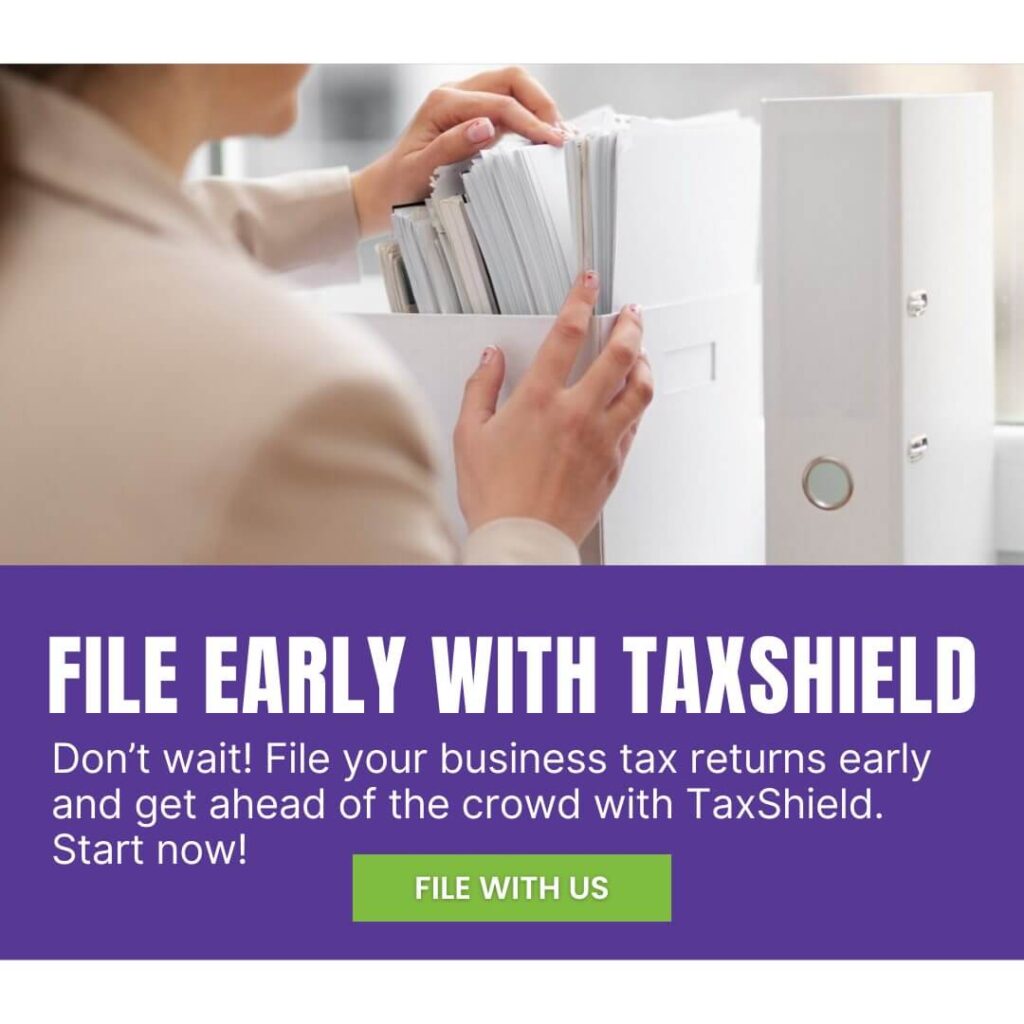 File your taxes early with TaxShield Service in Pontiuc Michigan